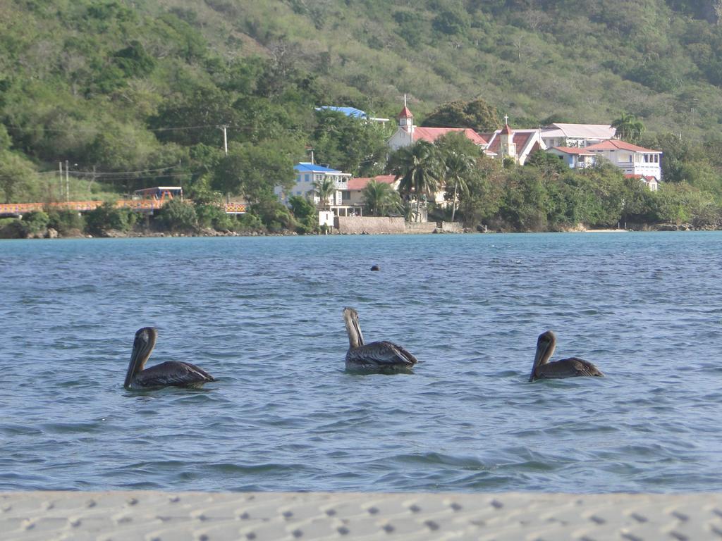 Posada Sunshine Paradise Providencia Island Exterior photo
