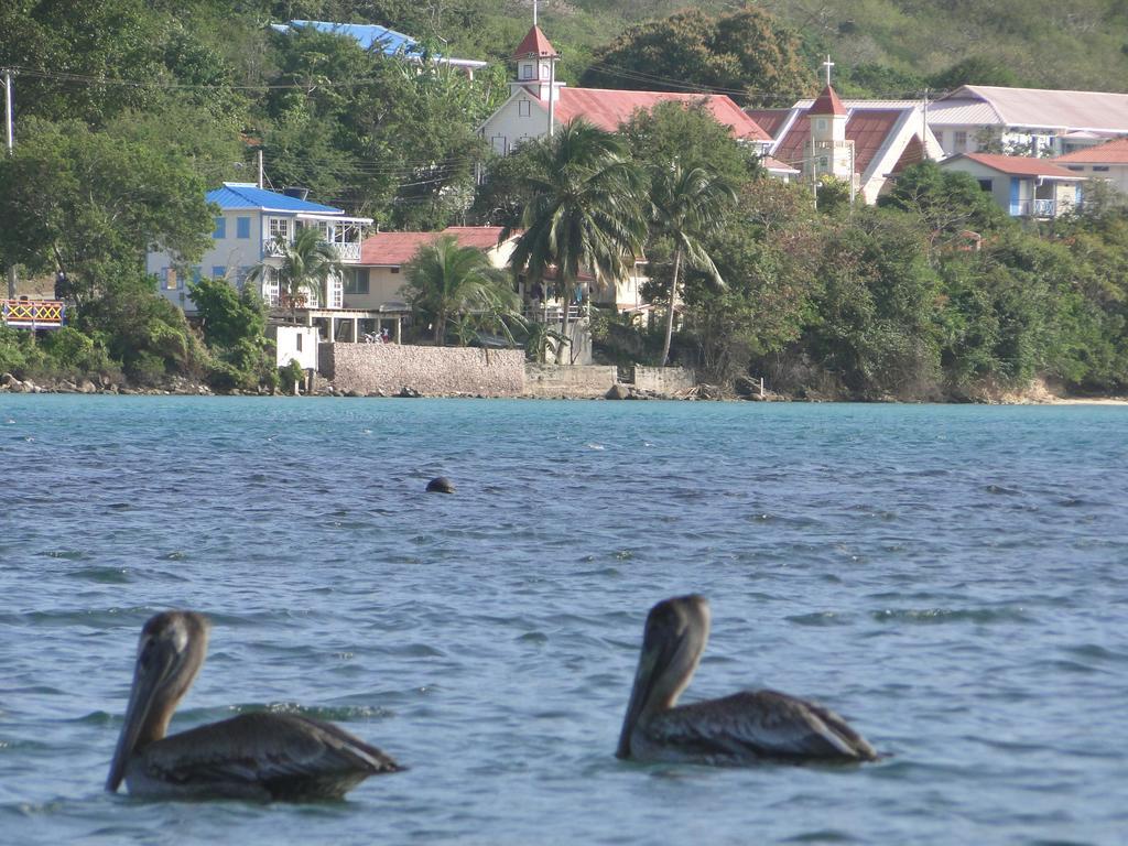 Posada Sunshine Paradise Providencia Island Exterior photo