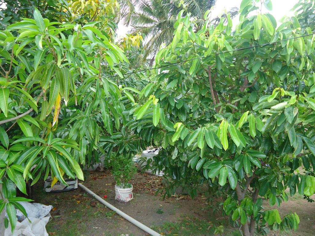 Posada Sunshine Paradise Providencia Island Exterior photo